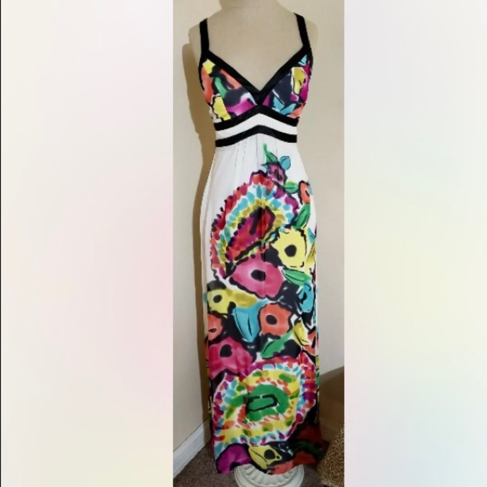 NWT Rare Sue Wong Multi-Colored ‘Painted’ 100% Silk Long Gown SZ-2
